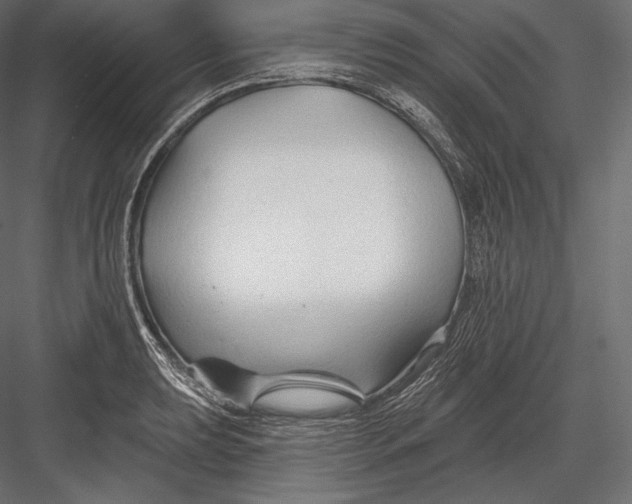 X0000082961039200702222334