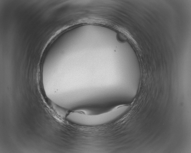 X0000082961040200702222334