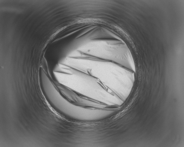 X0000082961041200702222334