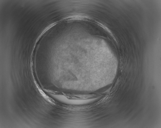 X0000082961042200702222334