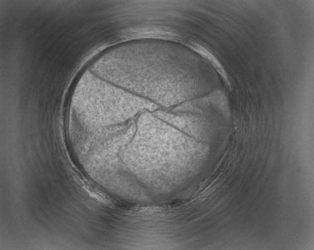 X0000082961043200702222335