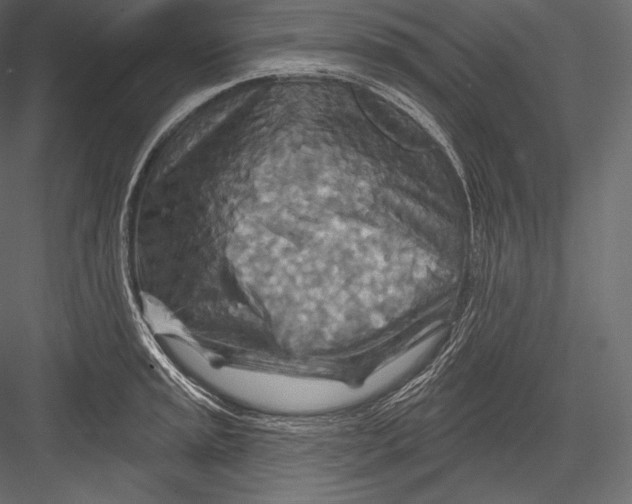 X0000082961045200702222335