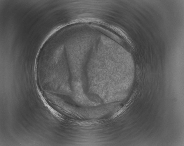 X0000082961046200702222335