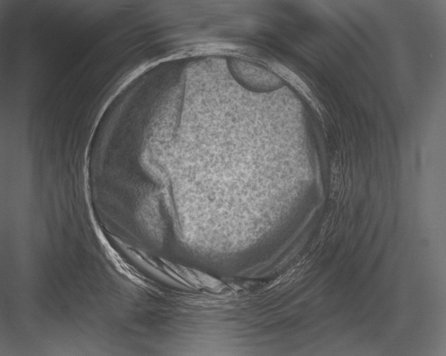 X0000082961047200702222335