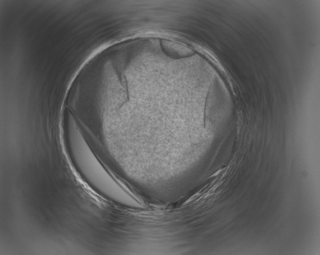 X0000082961048200702222335