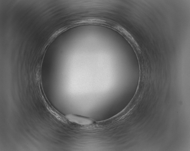 X0000082961049200702222335