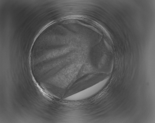 X0000082961050200702222335