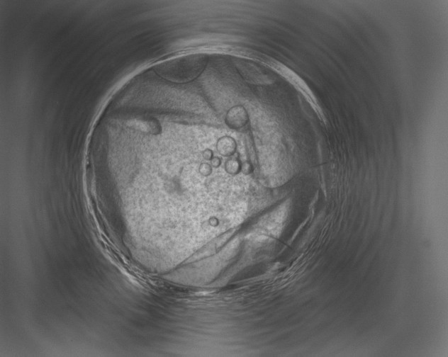 X0000082961051200702222335