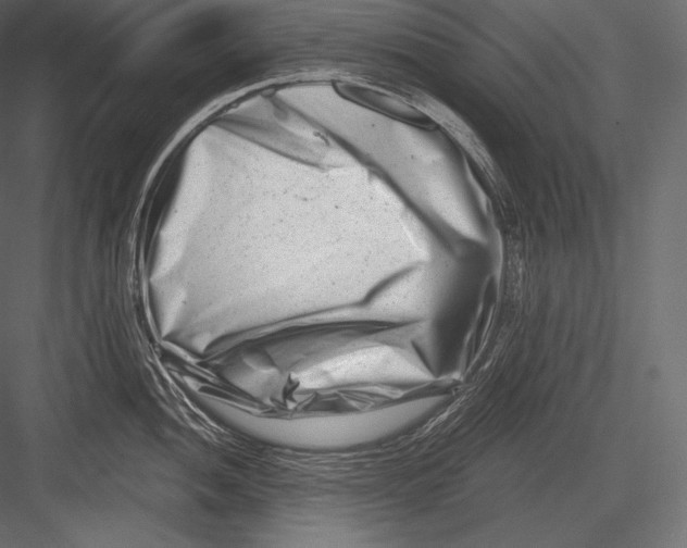 X0000082961052200702222335