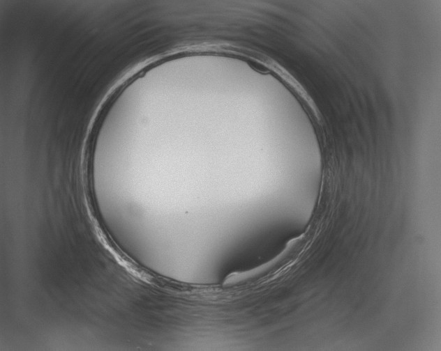 X0000082961053200702222335