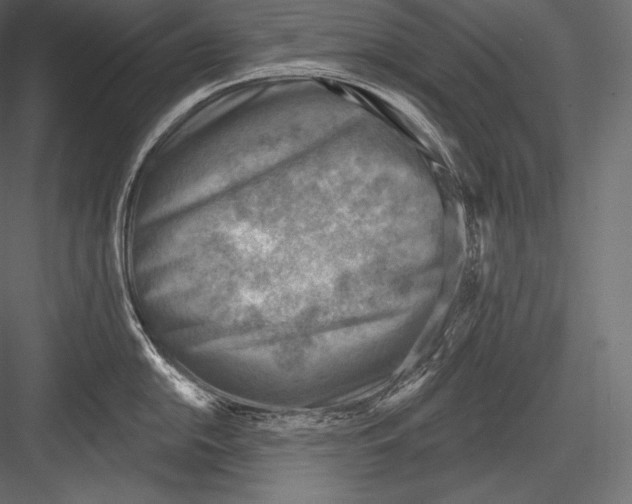 X0000082961054200702222335