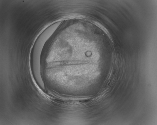 X0000082961055200702222335