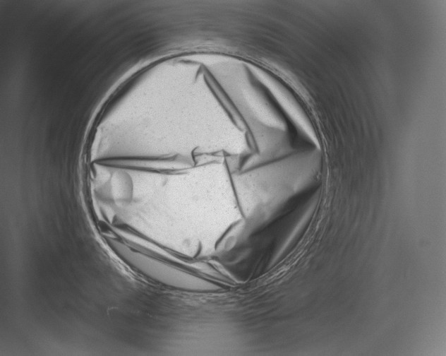 X0000082961056200702222335