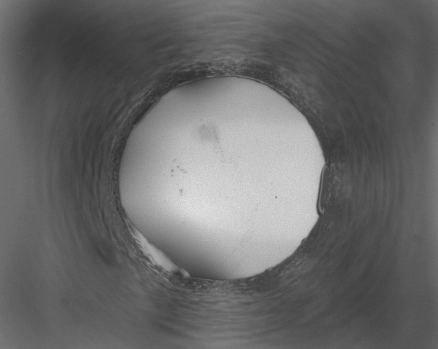 X0000082961057200702222334