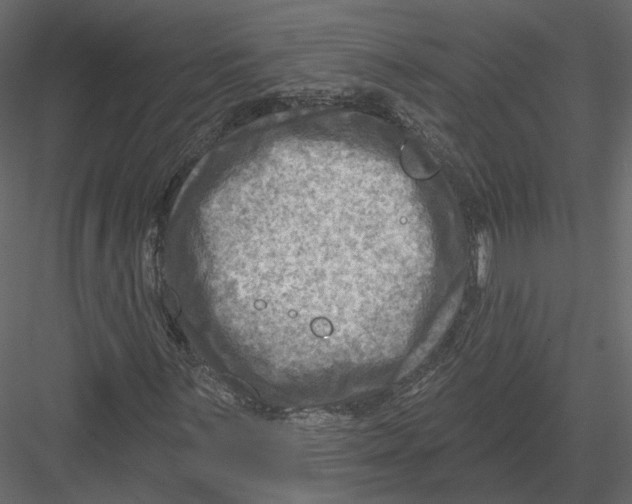 X0000082961059200702222334