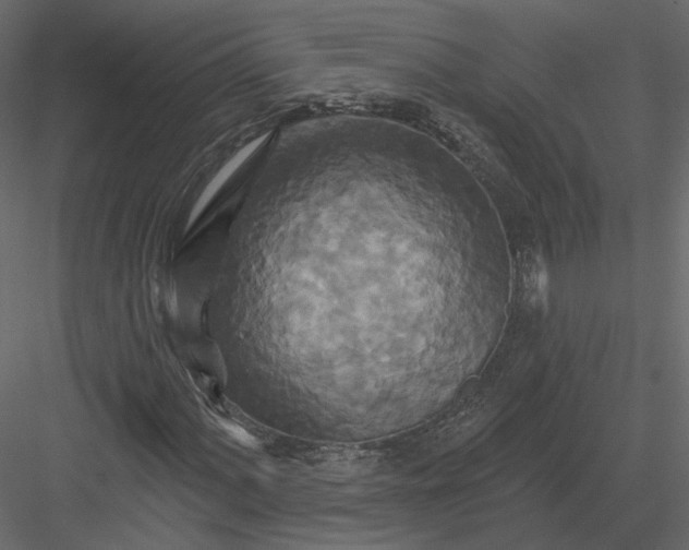 X0000082961060200702222334