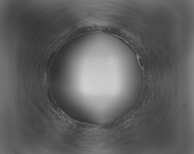 X0000082961061200702222334