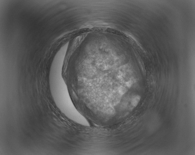 X0000082961063200702222334