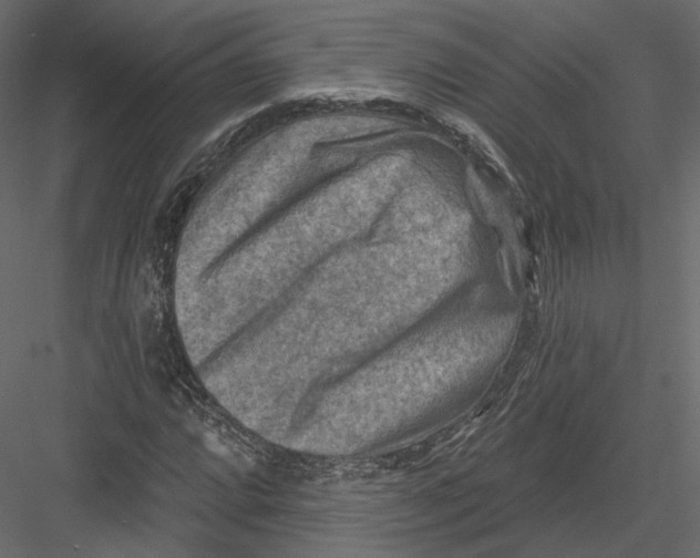 X0000082961064200702222334