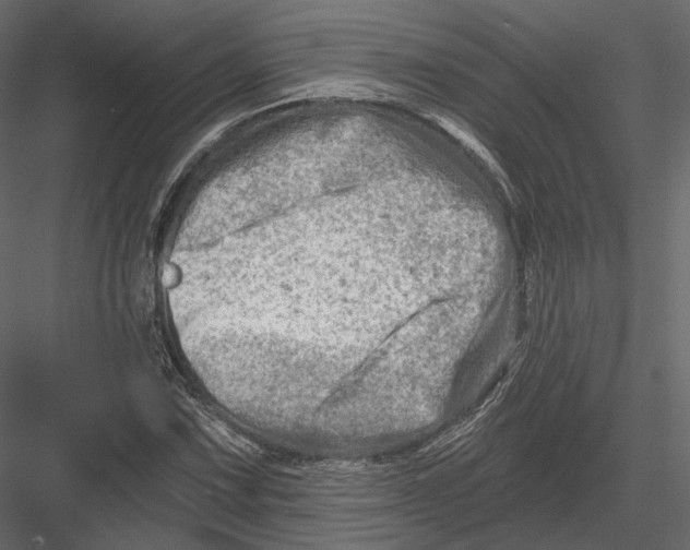 X0000082961067200702222334