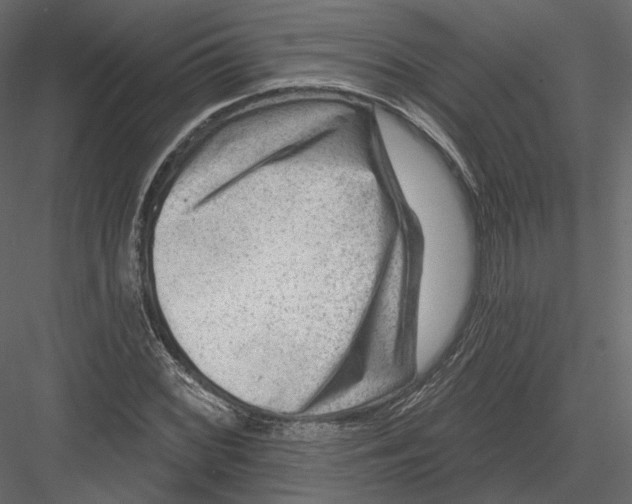 X0000082961068200702222334