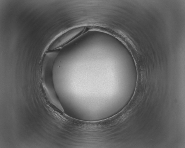 X0000082961069200702222334