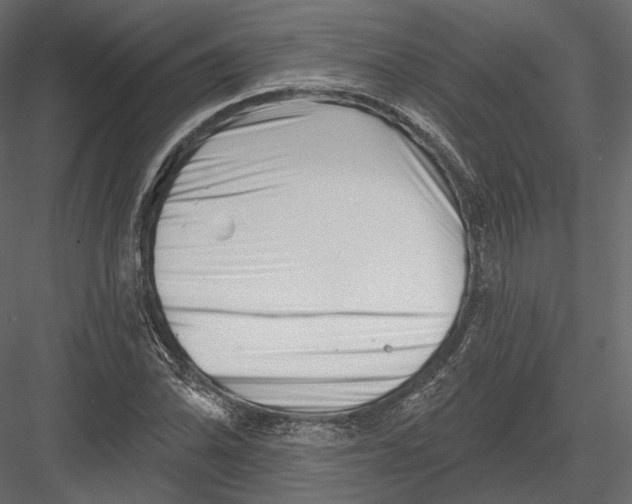 X0000082961070200702222334