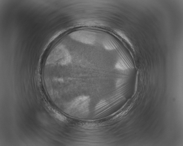 X0000082961071200702222334