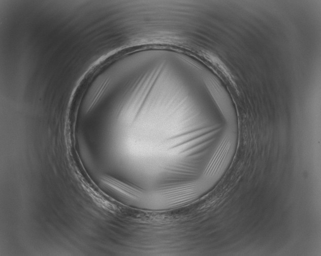 X0000082961072200702222334