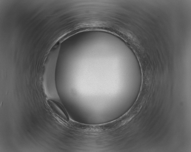 X0000082961073200702222334