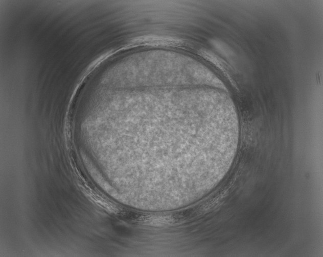 X0000082961074200702222334