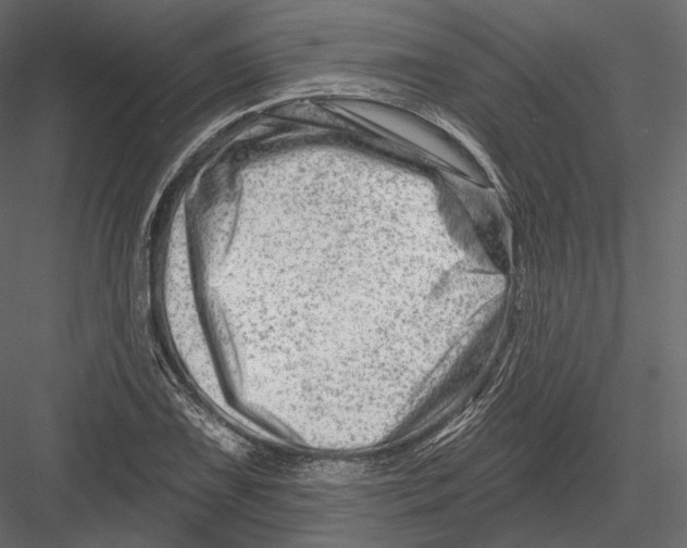 X0000082961075200702222334