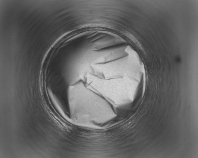 X0000082961076200702222334