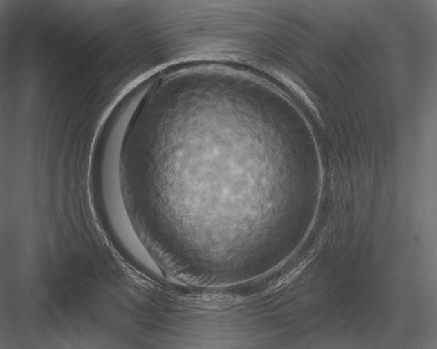 X0000082961077200702222334