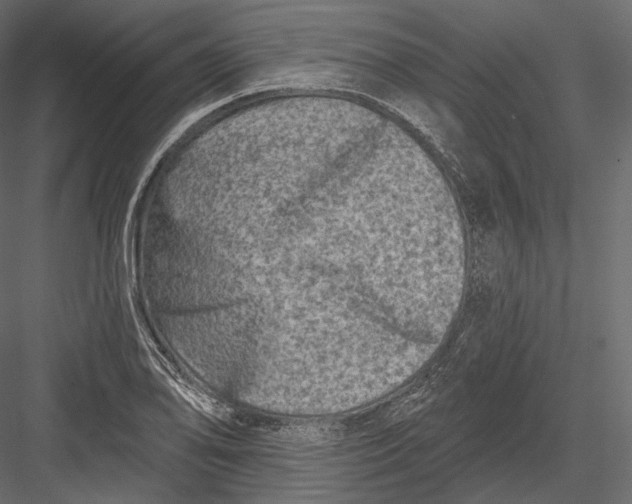 X0000082961078200702222334