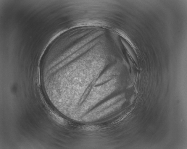 X0000082961079200702222334