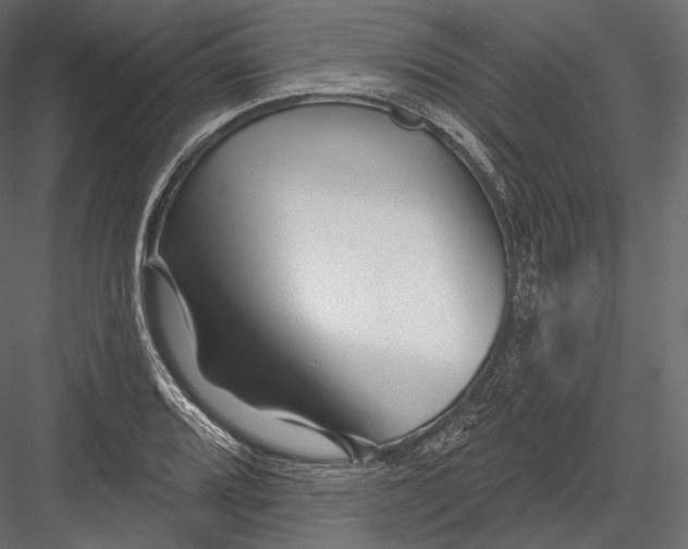 X0000082961080200702222334