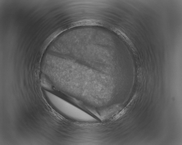 X0000082961081200702222333