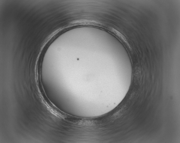 X0000082961082200702222333