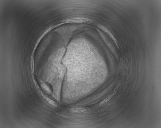 X0000082961083200702222333