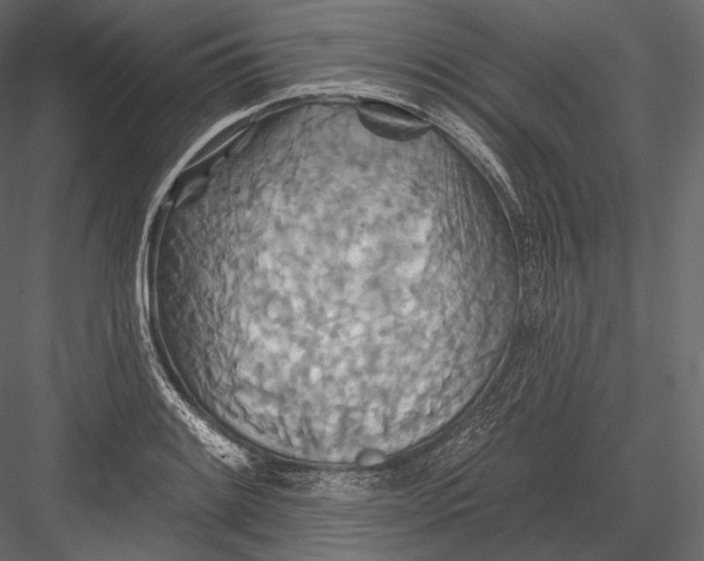 X0000082961084200702222333