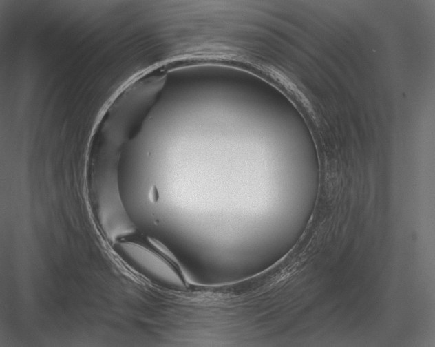 X0000082961085200702222333