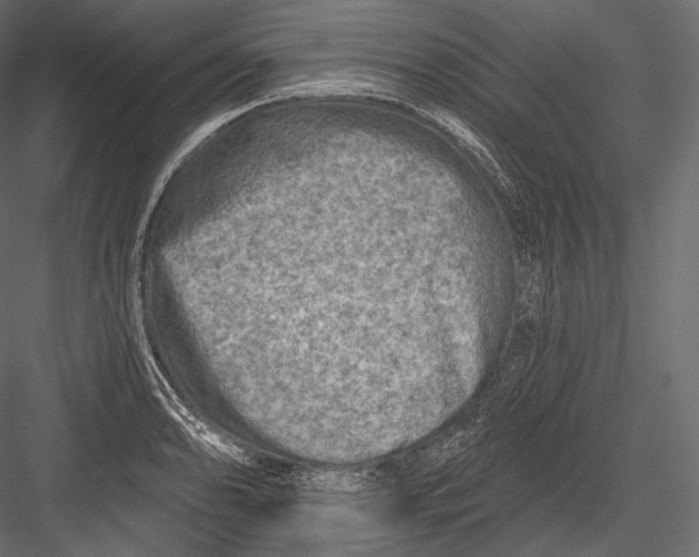 X0000082961086200702222333