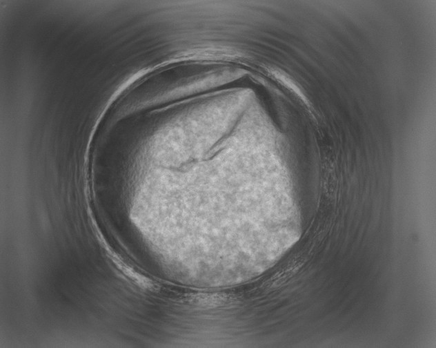 X0000082961087200702222333