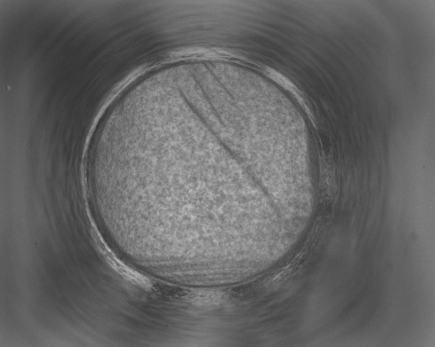 X0000082961090200702222333