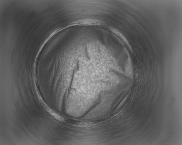 X0000082961091200702222333