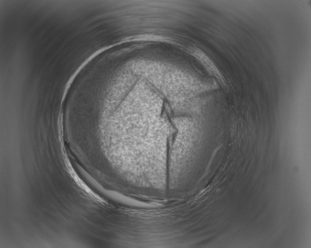 X0000082961092200702222333