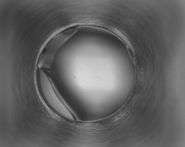 X0000082961093200702222333