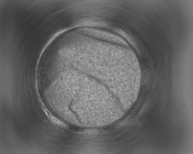 X0000082961094200702222333