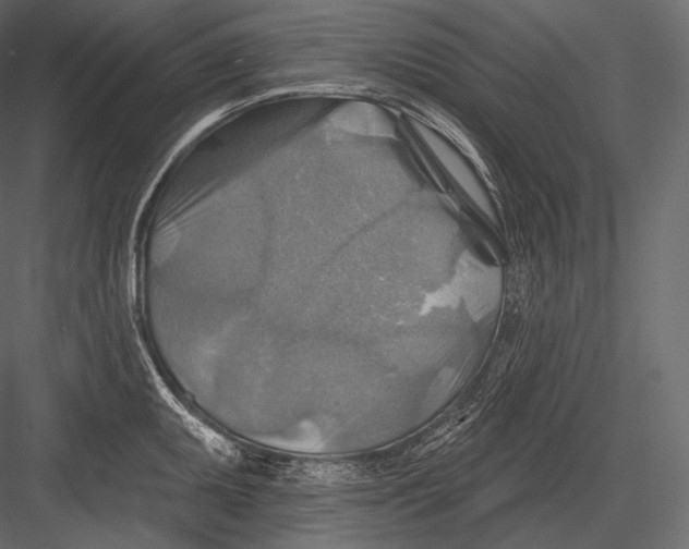 X0000082961095200702222333